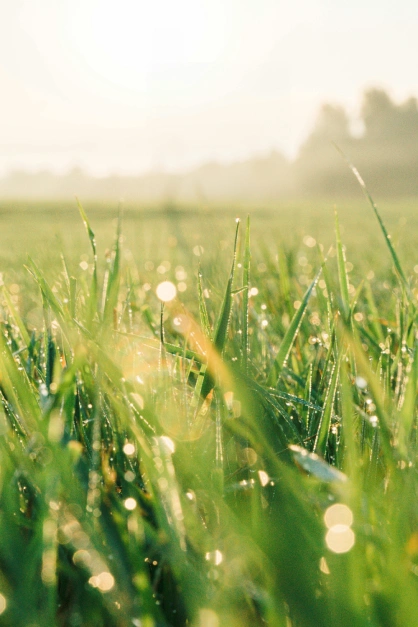 InzichtInzicht, mindfulness, Brugge, meditatie